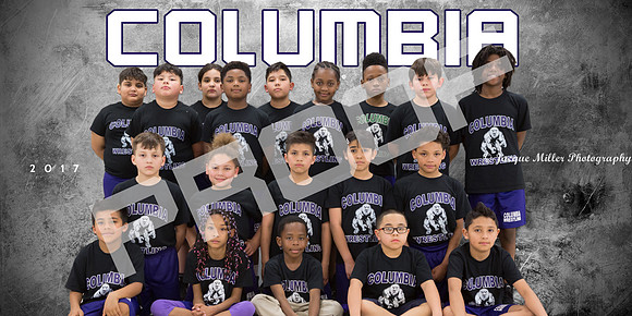 Columbia Elementary Team Banner - 04PROOF