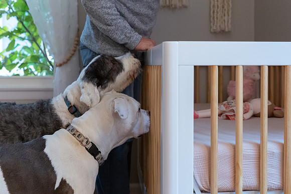 781B5985