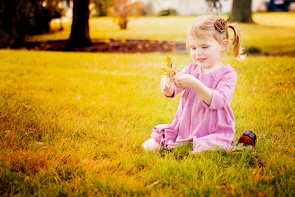 781B0407-2-no leaves