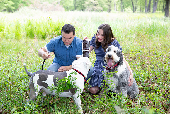 781B1916